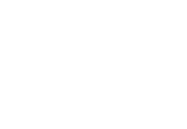 Torch Awards for Ethics 2025 Finalist - BBB