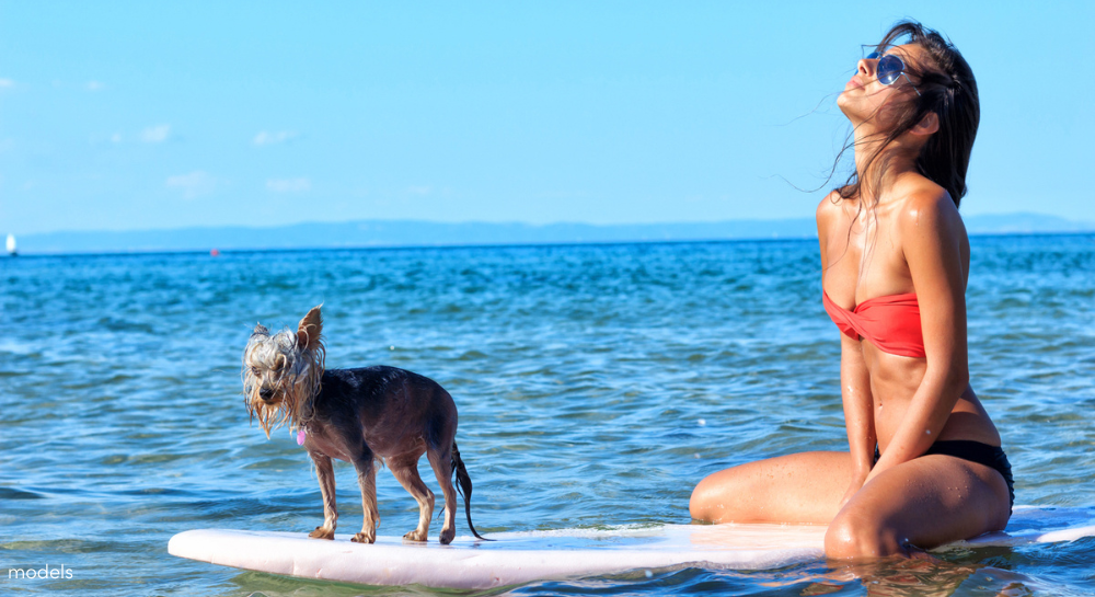 Woman and her little dog on a surfboard in the ocean looking towards the sky 