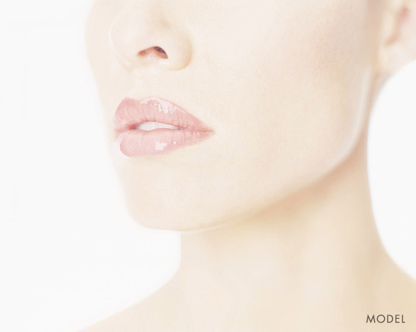ljcsc-blog-lips-model